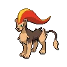 pyroar female