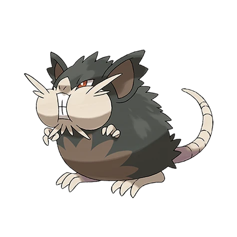 raticate alola