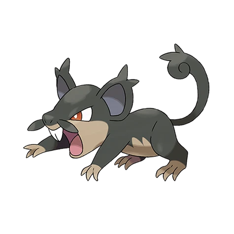 rattata alola