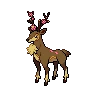 sawsbuck spring