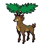 sawsbuck summer