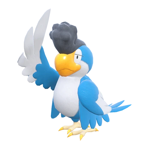 squawkabilly blue plumage