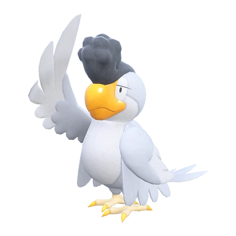 squawkabilly white plumage