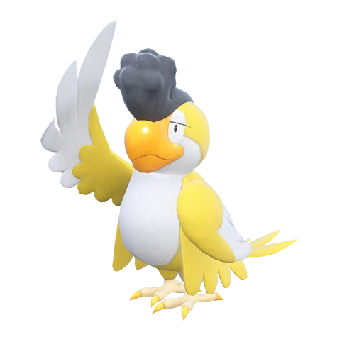 squawkabilly yellow plumage