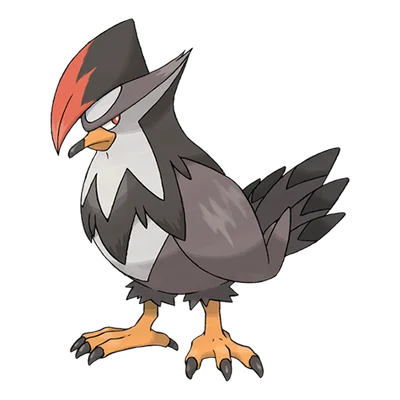Staraptor