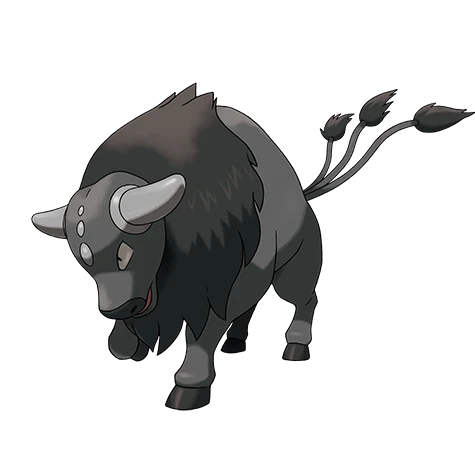 tauros paldea combat breed