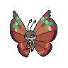 vivillon archipelago