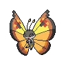 vivillon continental