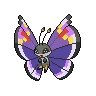 vivillon elegant