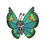 vivillon garden