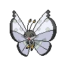 vivillon icy snow