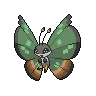 vivillon jungle