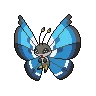 vivillon marine