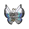vivillon monsoon