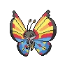 vivillon ocean