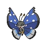 vivillon polar