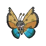 vivillon river