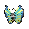 vivillon savanna