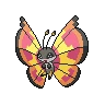 vivillon sun
