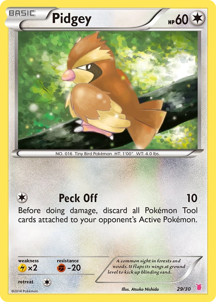 Pidgey