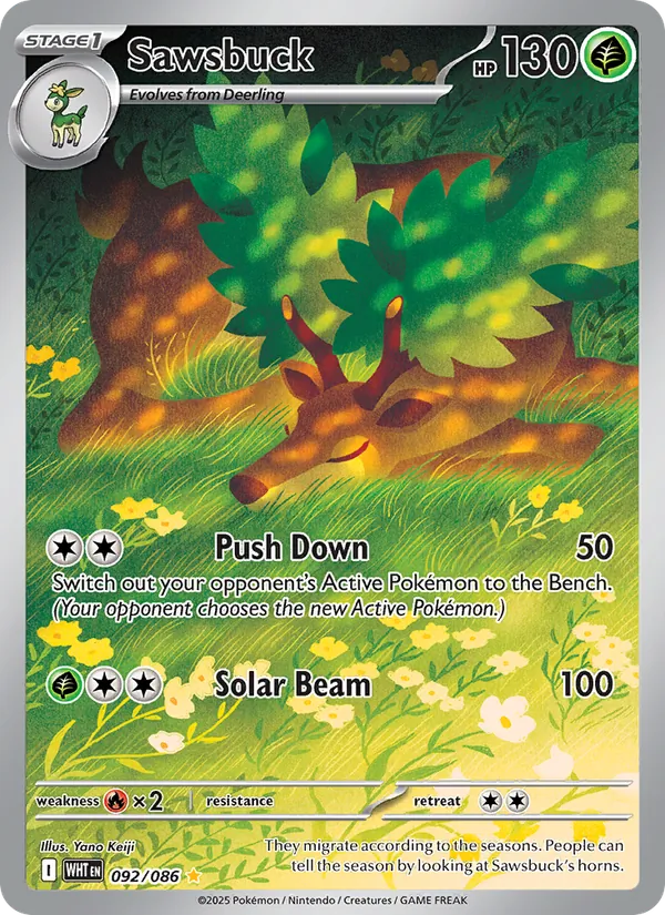 Sawsbuck